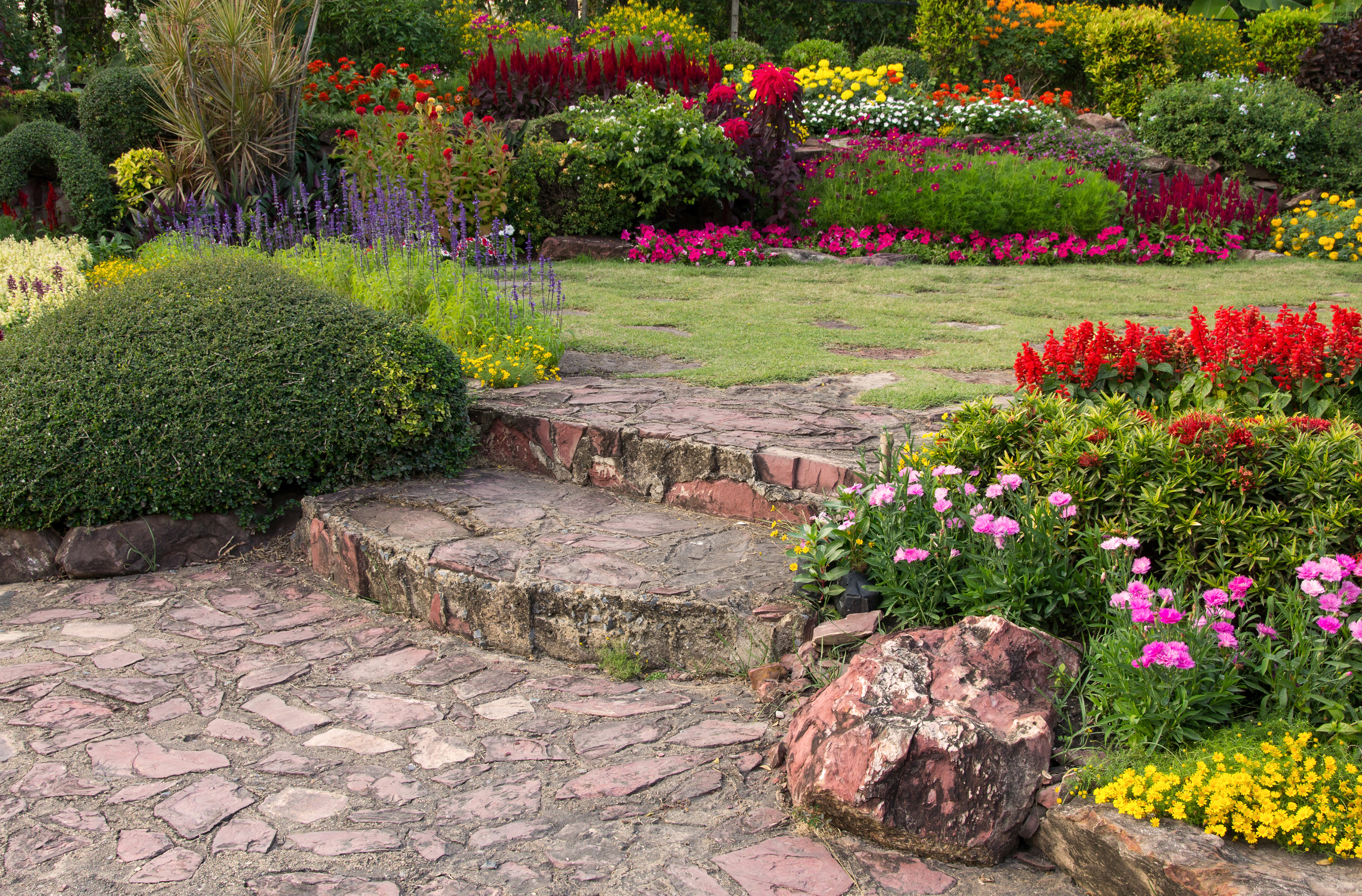 Garden bed edging with colorful flowers
